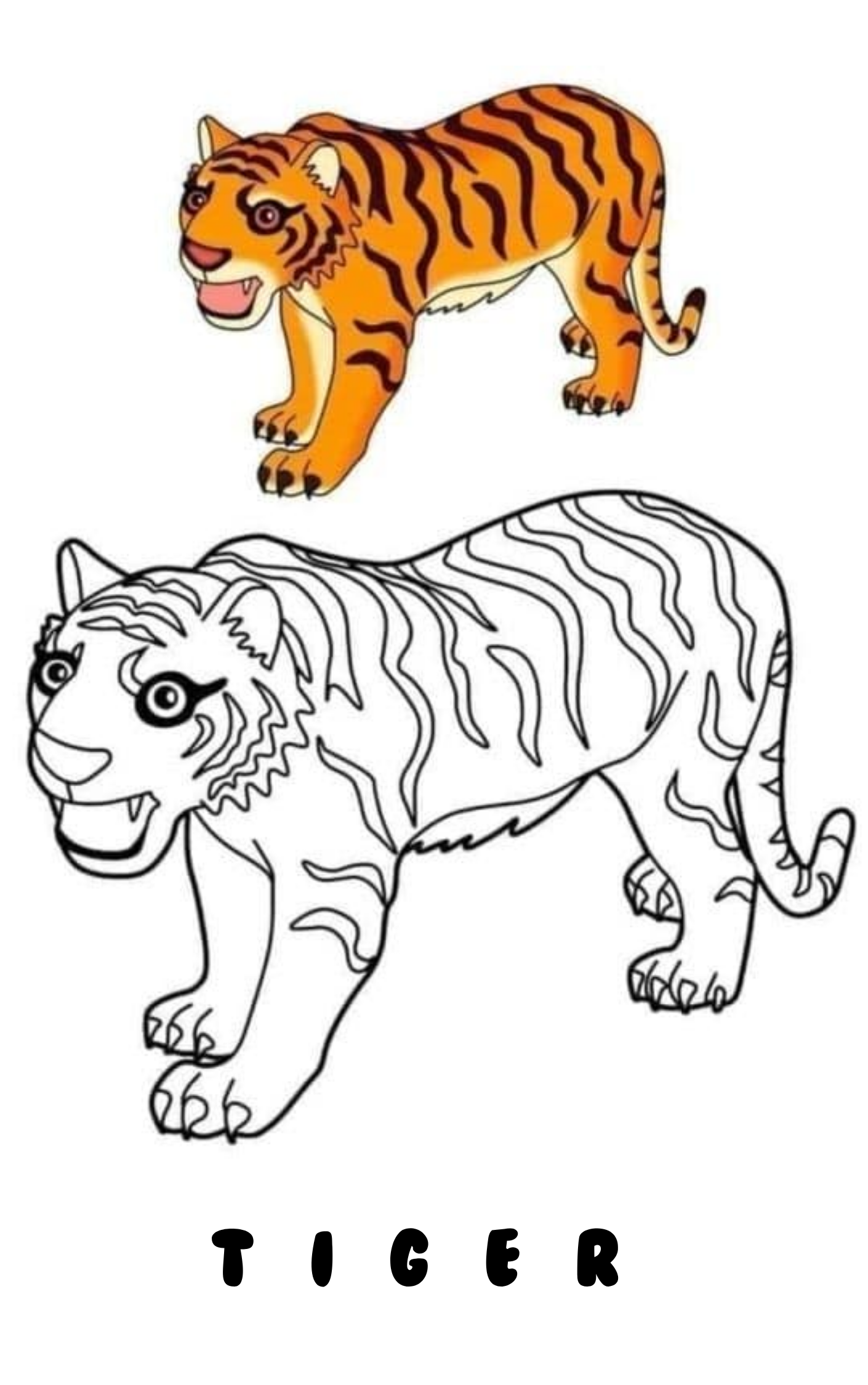 “20 Adorable Animals Coloring Book for Kids – Fun & Easy Printable PDF | Only $2!”